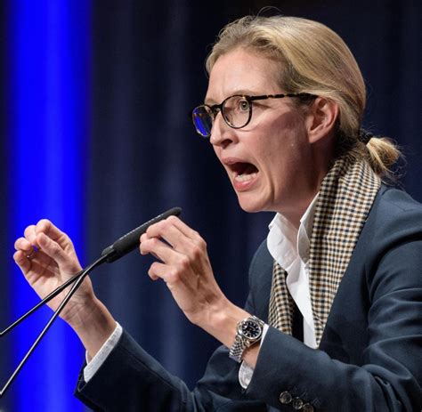 alice weidel rolex|alice weidel husband.